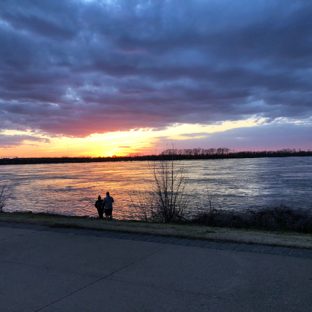 Customizable Ethics Seminar for Travel CME CEU CPD